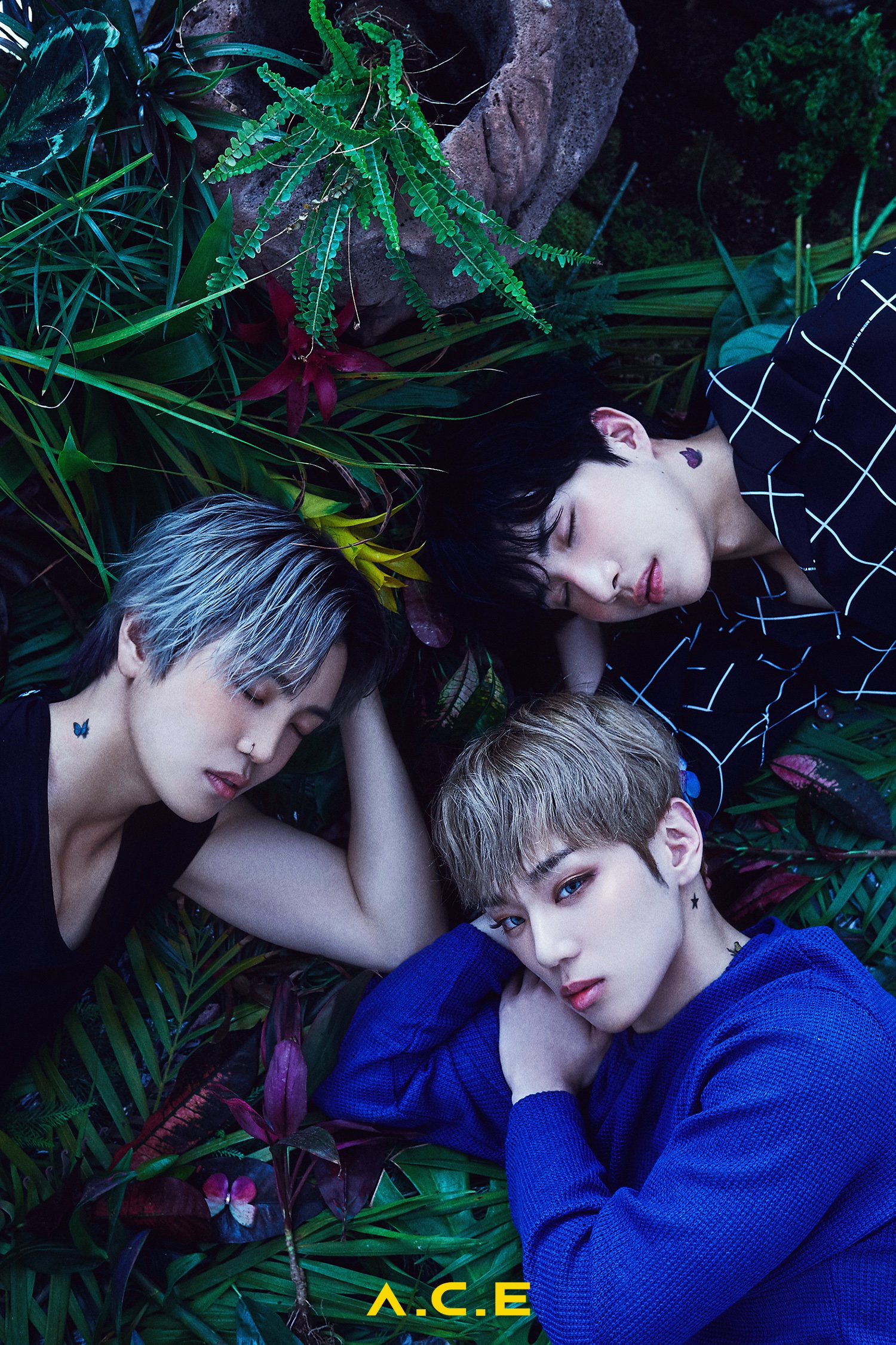 A.C.E Unit1 – KSTATION TV